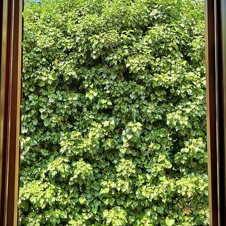 Vendégház & Tiramola - Old Town Trogir